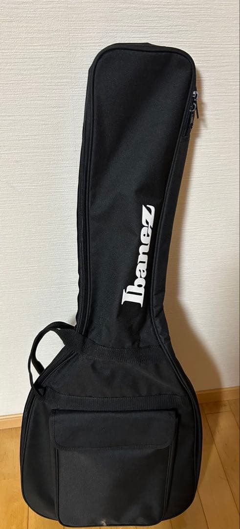 Ibanez RG421EX エレキギター
