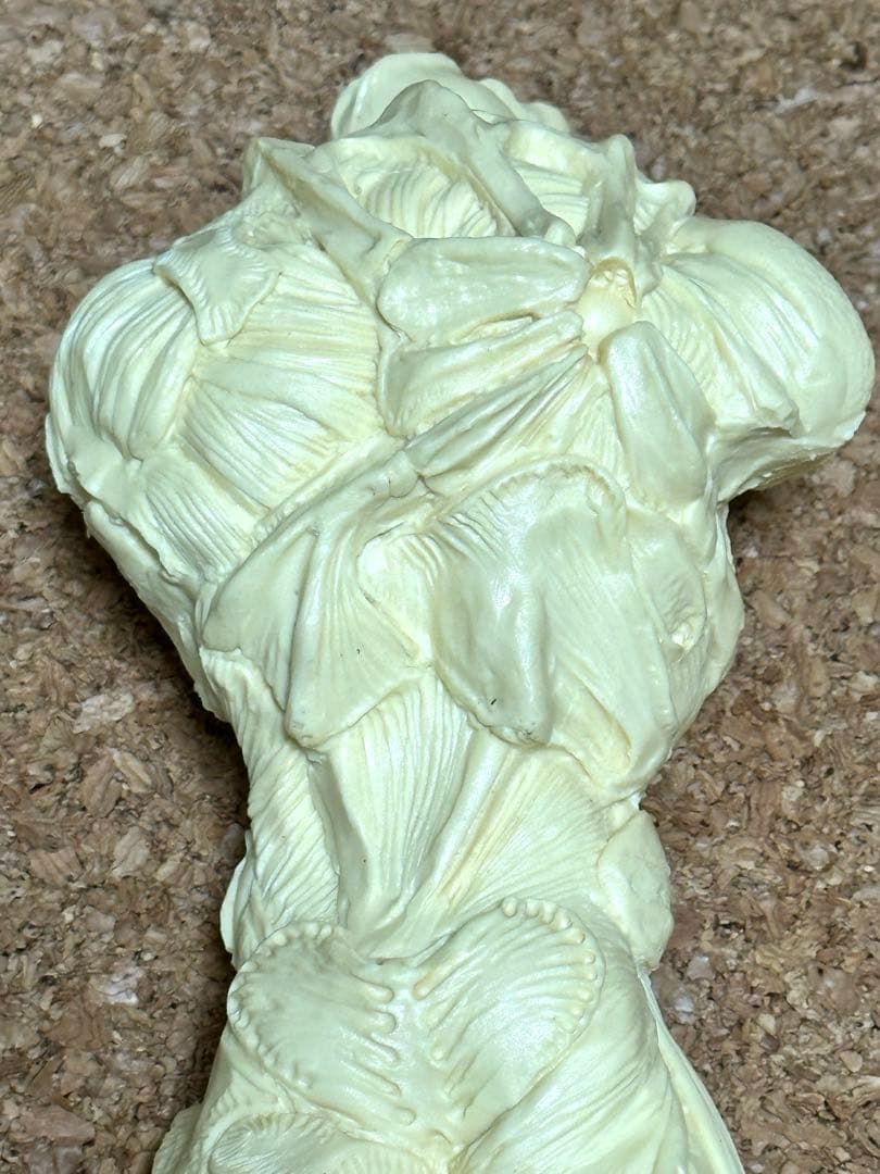 絶版品　フューチャーモデルズ　フェイルド・ガイバー　1/6 韮沢靖　原型