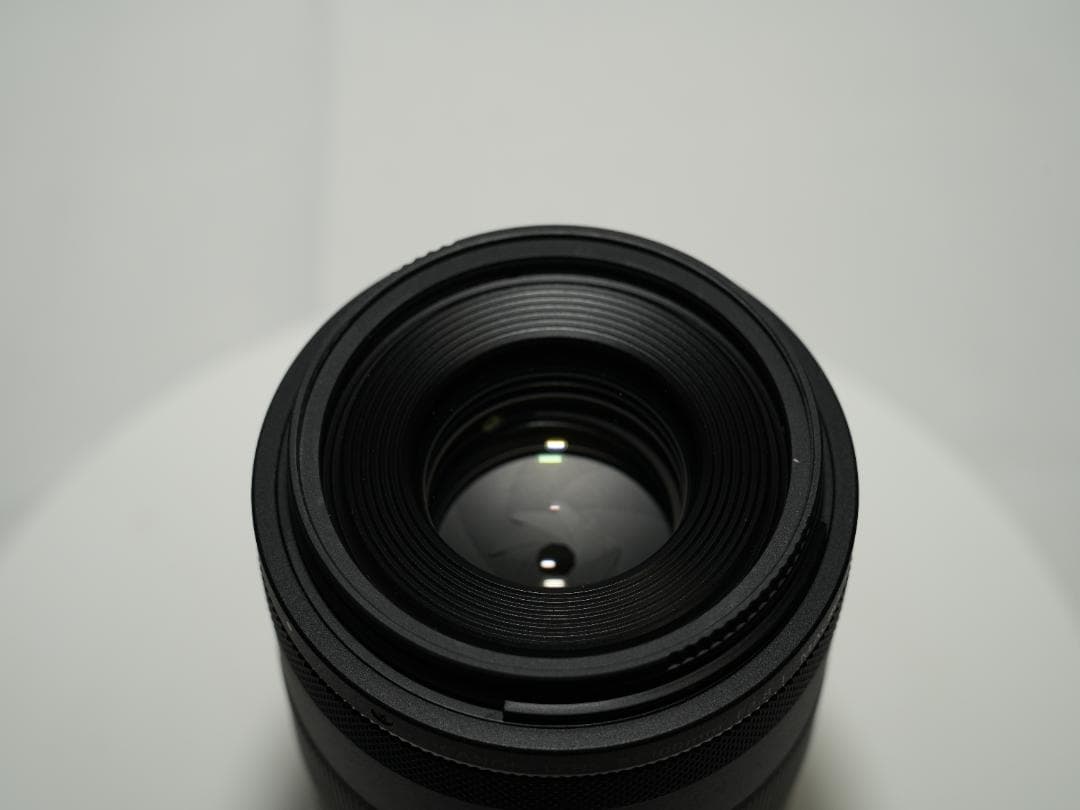 Canon RF 100mm F2.8 マクロレンズ