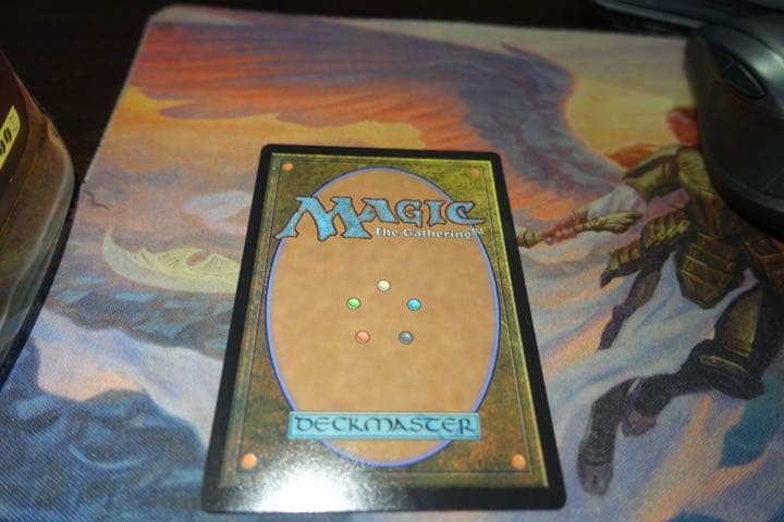 MTG 完成化した賢者、タミヨウ ショーケースfoil セットブースター寺田克也