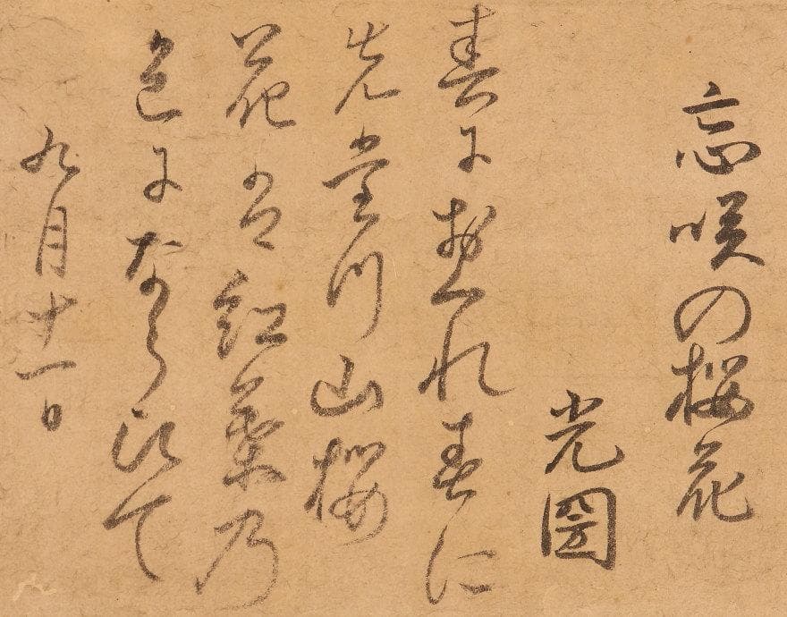 ♪新発見♪◆『徳川光圀』和歌「忘咲の桜花」掛軸 三つ葉葵紋 水戸光圀 水戸黄門◆