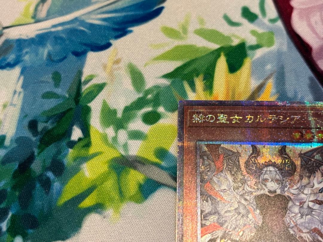 赫の聖女カルテシア 絵違い 25thシク