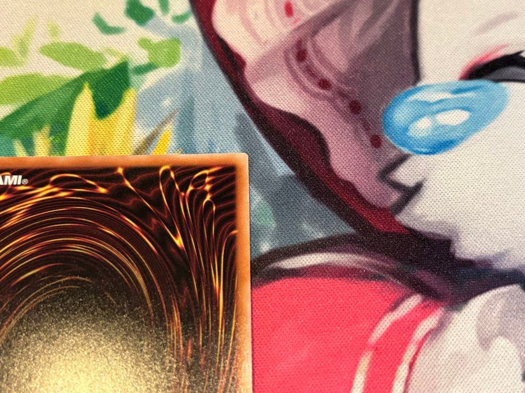 赫の聖女カルテシア 絵違い 25thシク