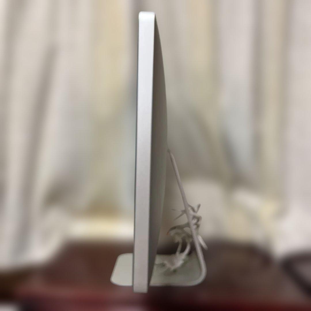 【⭐️動作確認済⭐️】Apple Thunderbolt Display 27インチ