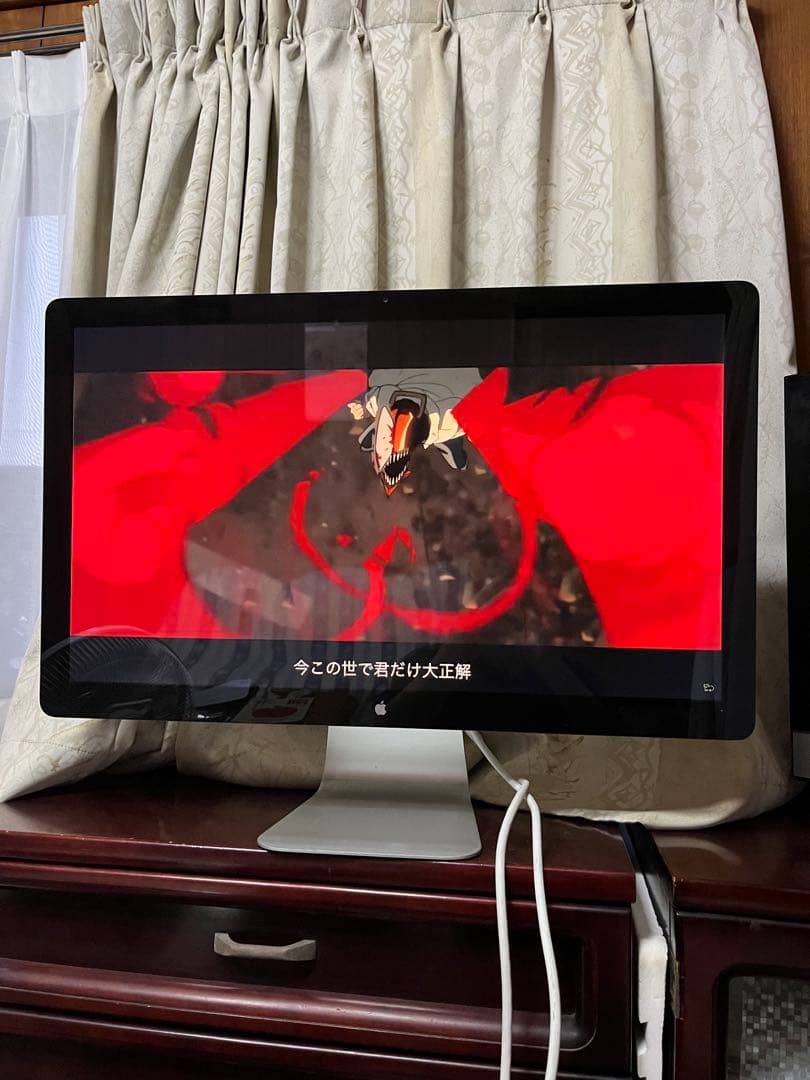 【⭐️動作確認済⭐️】Apple Thunderbolt Display 27インチ