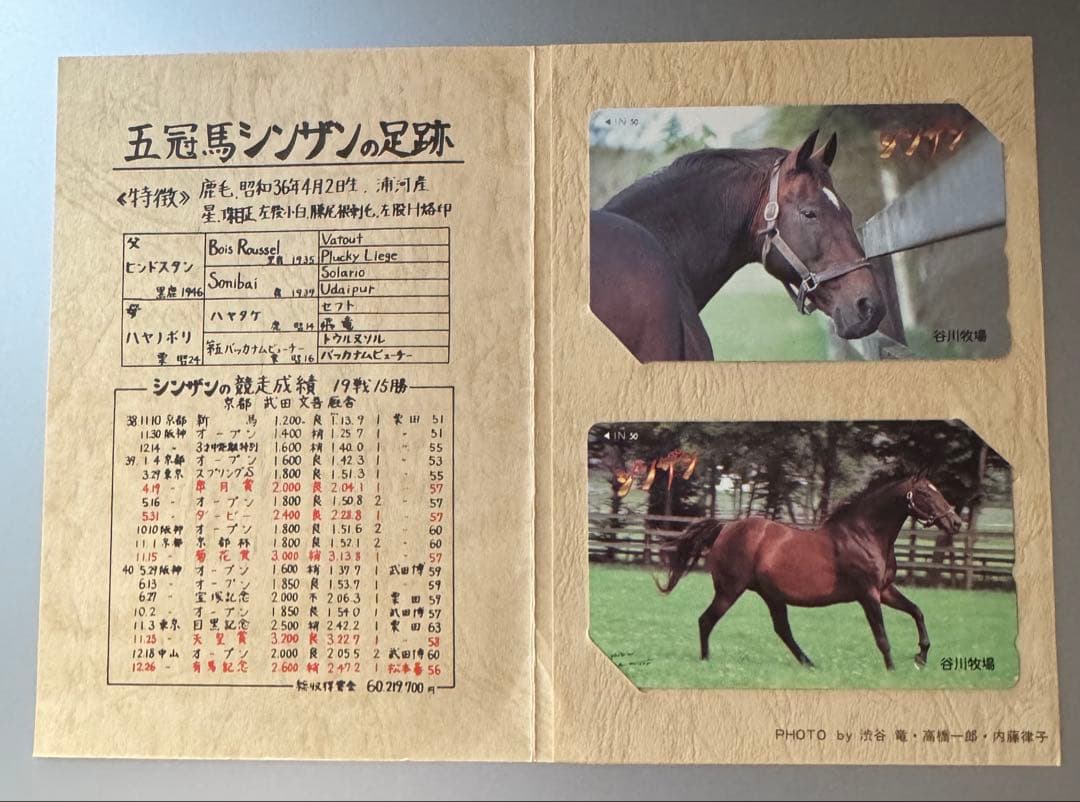 【激レア】関係者のみ配布シンザンのメモリアルTカード