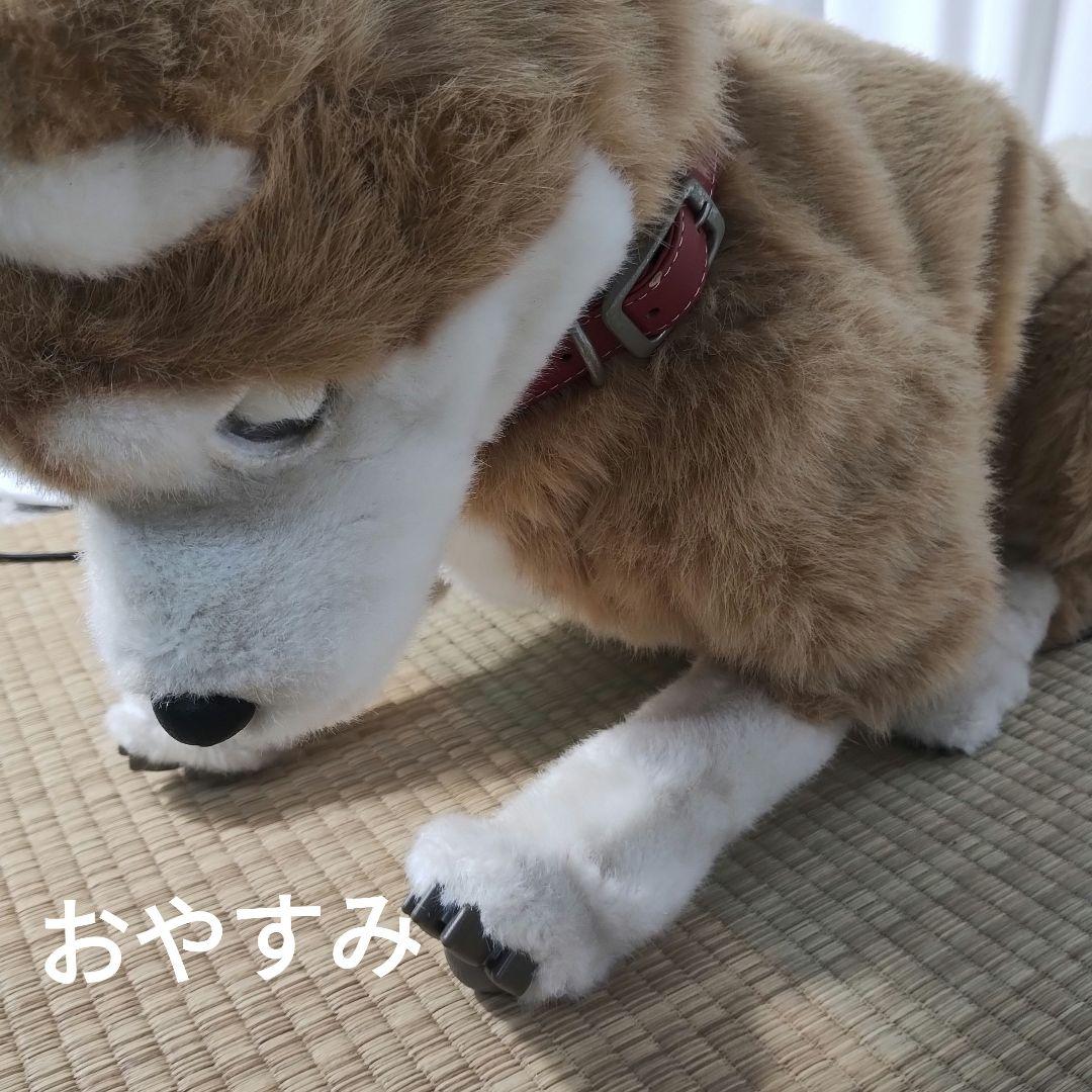 z【一部難あり】 電動 ペットロボット ココチモ 愛犬しばちゃん 等身大 柴犬