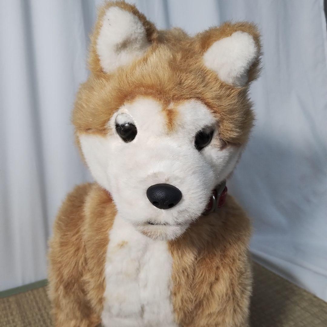 z【一部難あり】 電動 ペットロボット ココチモ 愛犬しばちゃん 等身大 柴犬