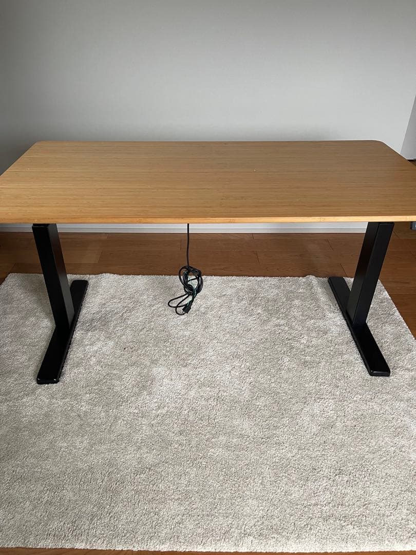 FLEXISPOT スタンディングデスク 電動式 昇降デスク