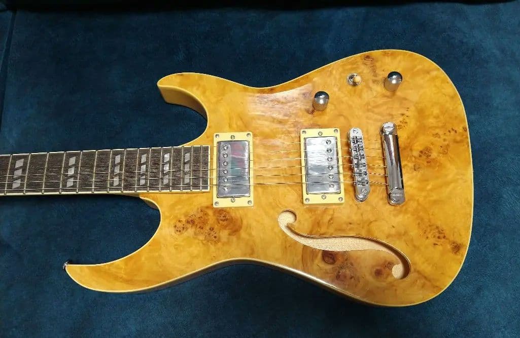 新品 カスタムメイド エレキギター バードアイメープルトップ＆バスウッドボディ