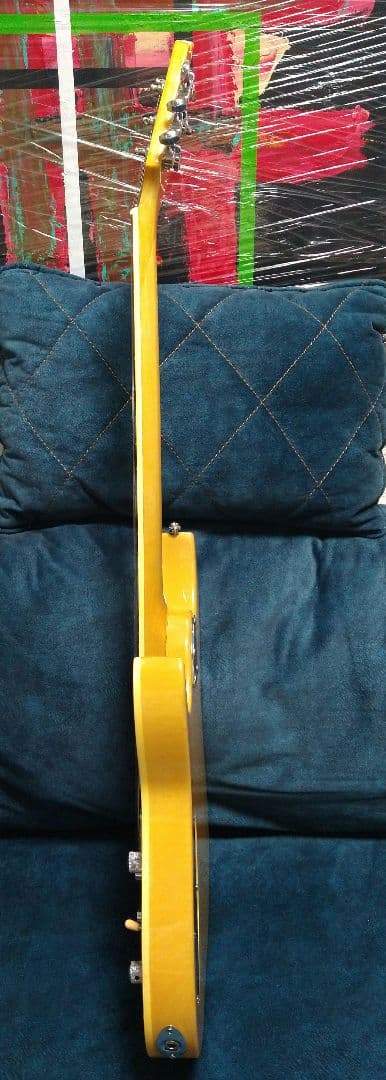 新品 カスタムメイド エレキギター バードアイメープルトップ＆バスウッドボディ