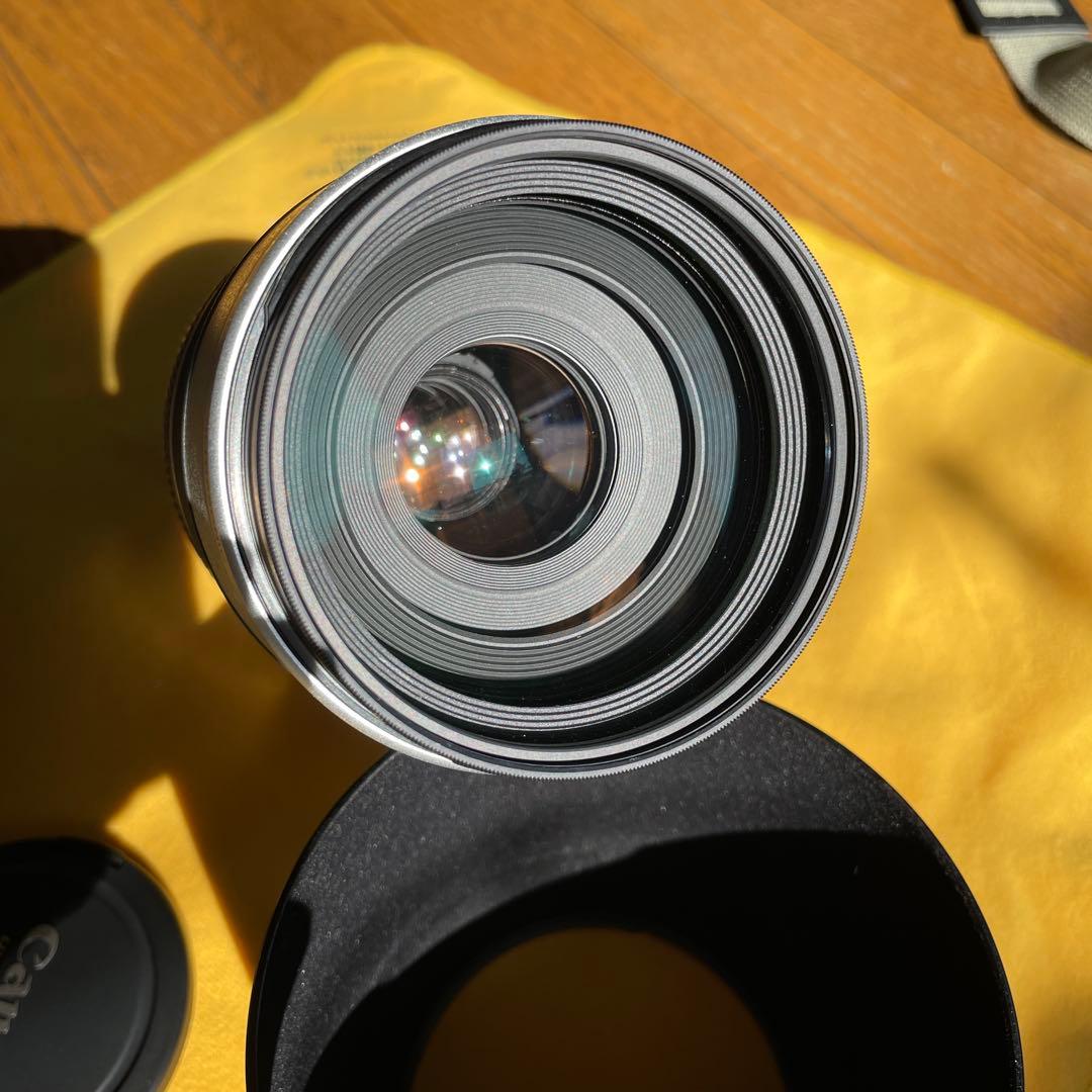 キヤノン　EF100-400 L 4.5-5.6 is ultrasonic