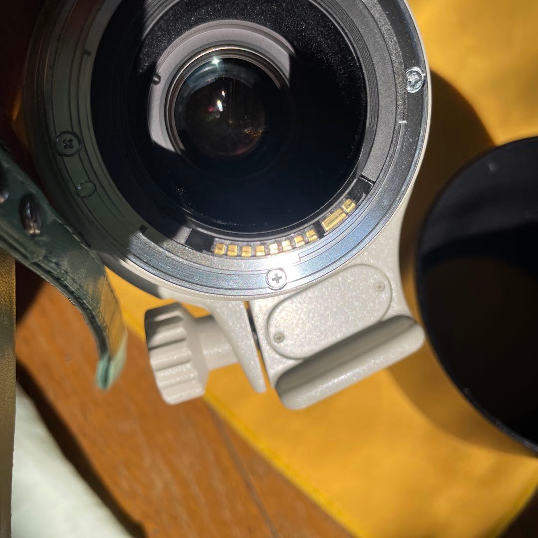 キヤノン　EF100-400 L 4.5-5.6 is ultrasonic