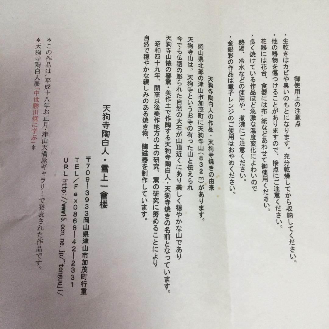 希少　絵皿　脚本家「高橋玄洋」さんと天狗寺「陶白人」のコラボ作品