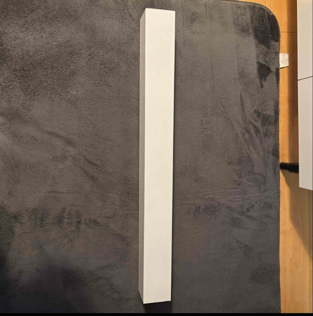 新品backsideworks FUK's ポスター　バックサイドワークス