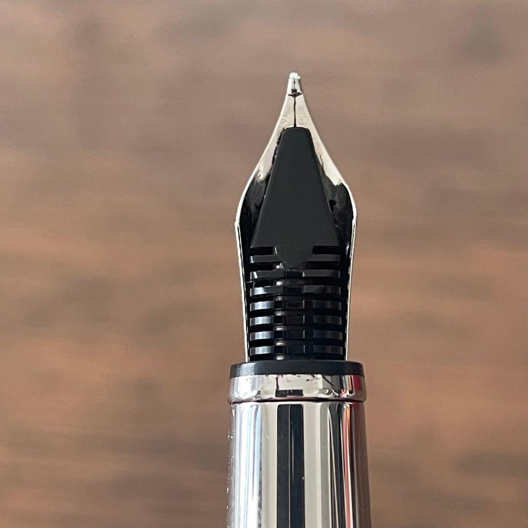 kzさま専用；CARAN d’ACHEマディソンⅡ万年筆