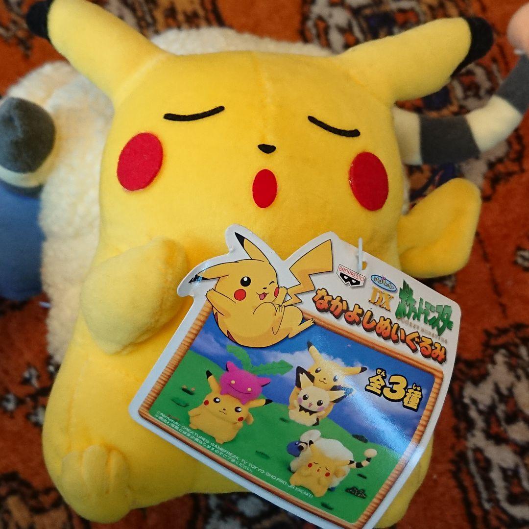 新品・ゲームセンター非売品限定・ポケモン「ＤＸ・２体なかよしぬいぐるみ」