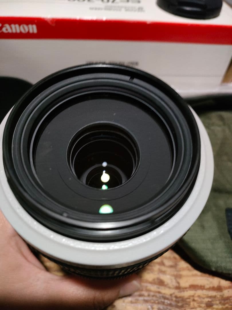 キャノン EF70-300mm f/4-5.6L IS USM ズームレンズ