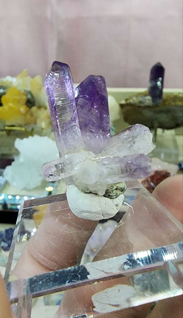 ベラ クルス アメジスト