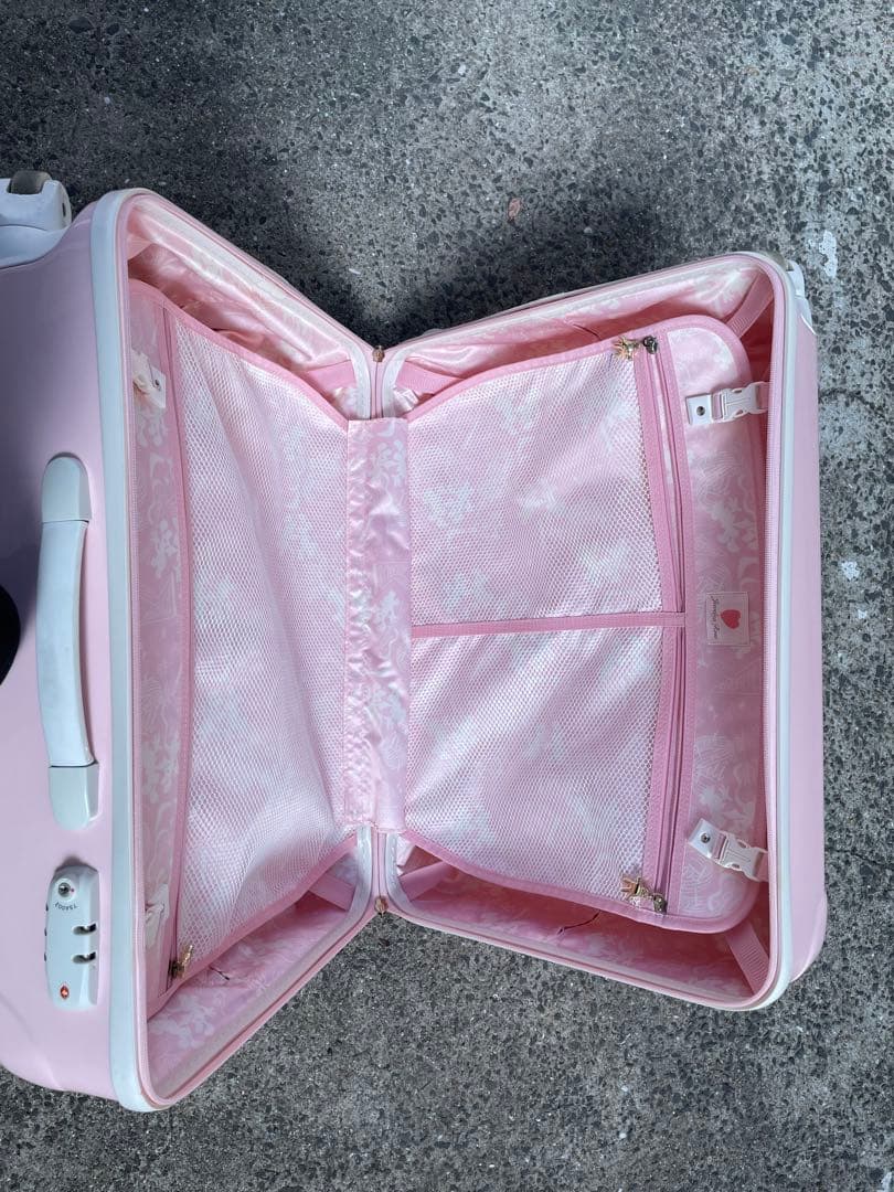 ミッキー＆ミニーのキャリーバッグ