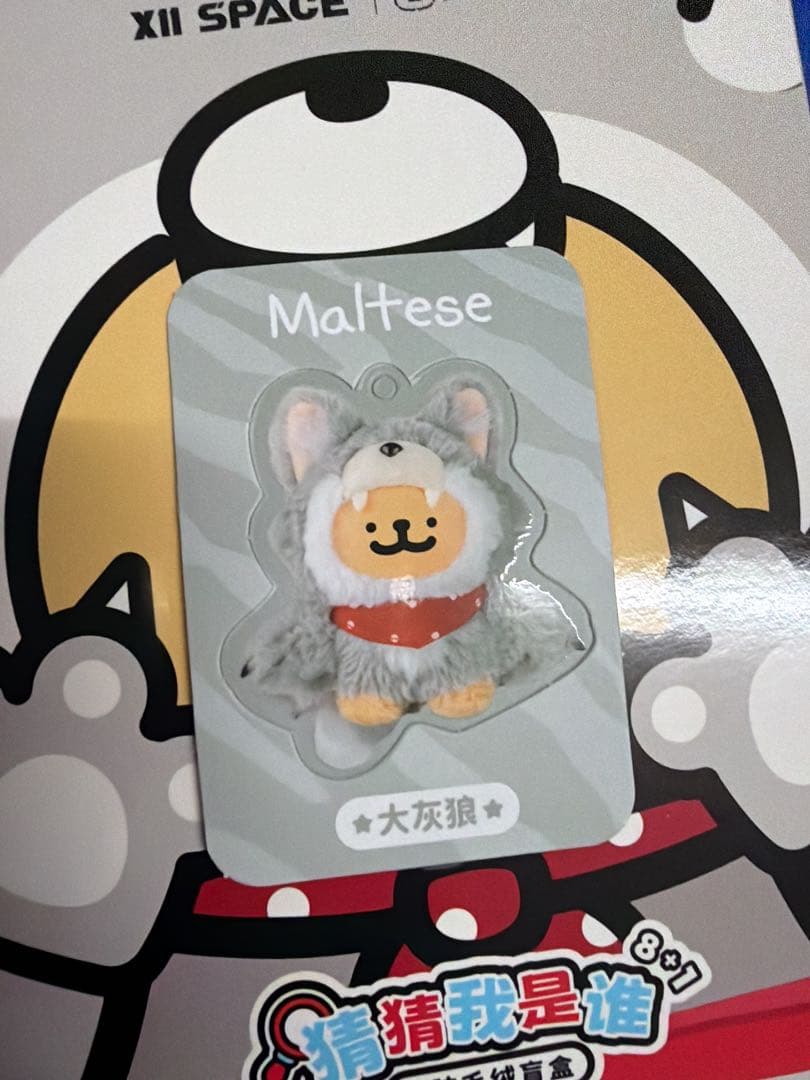 MALTESE モルチーズ 猜猜我是谁 オオカミレトリバー