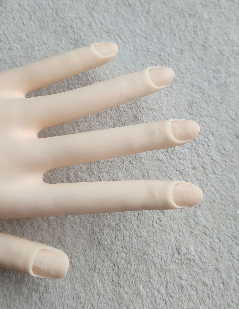 JNEC認定モデルハンド ST MODEL HAND