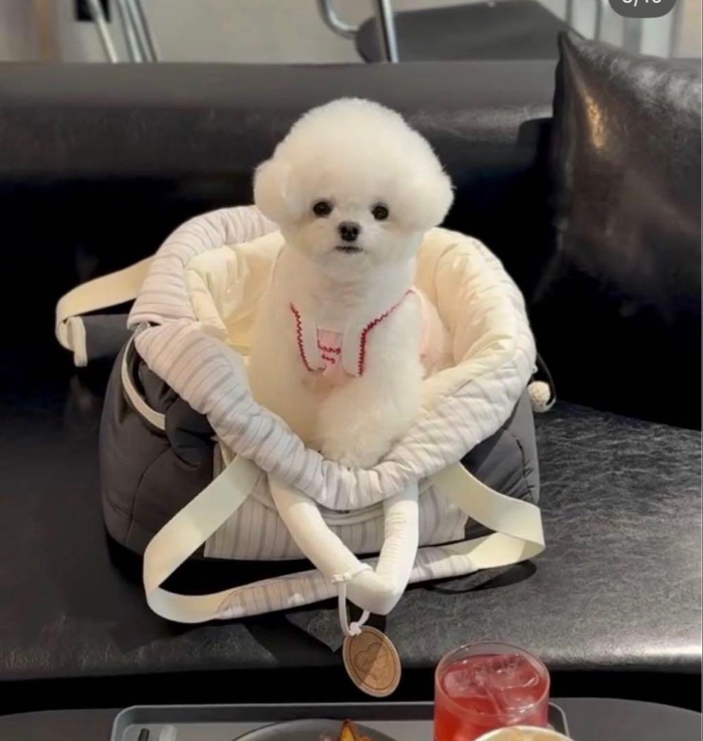 seoru 韓国 完売 レターバッグ