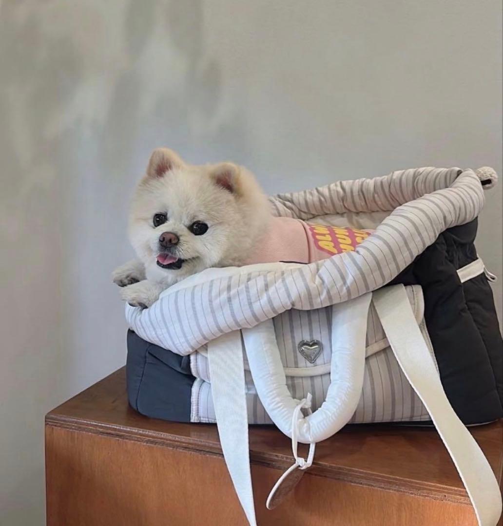 seoru 韓国 完売 レターバッグ