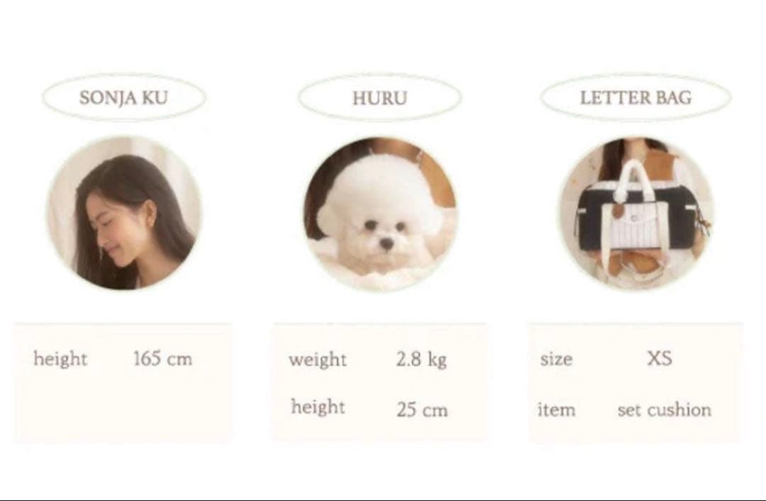 seoru 韓国 完売 レターバッグ