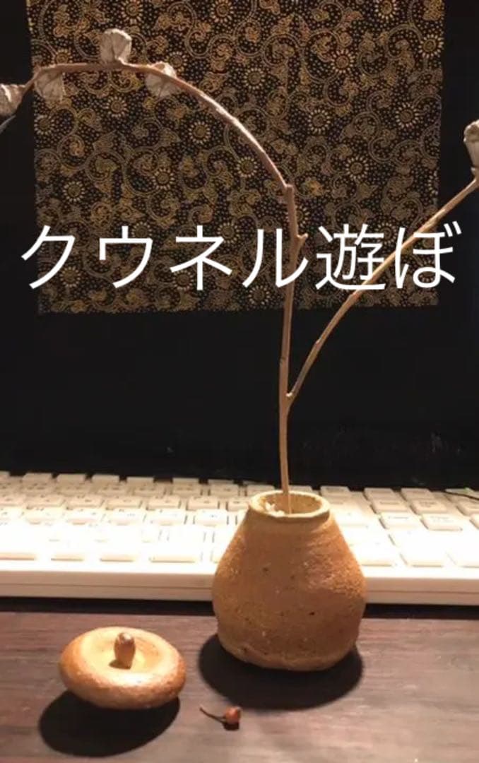 作家もの　蓋もの　土もの　備前　新品　一点物