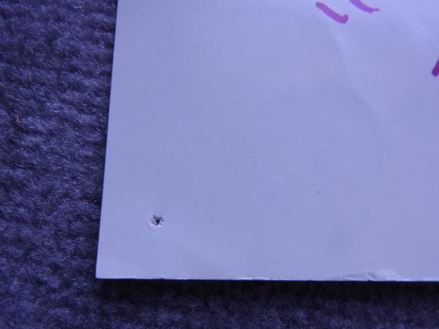 非売品　ポスター　宮本浩次　good morning　エレファントカシマシ