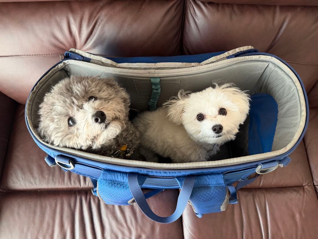 モンベル　ドッグキャリングバックL