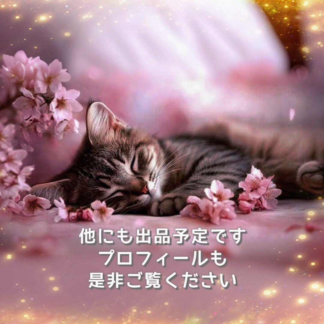 【本日限定】未開封BUCK-TICK パーカー ABRACADABRA Lサイズ