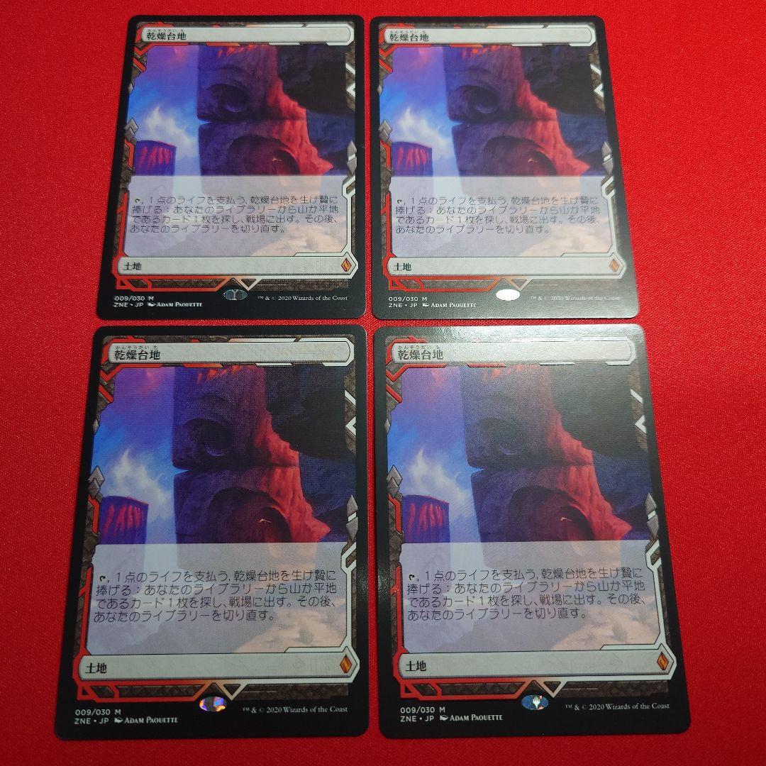 乾燥台地　ZNE　4枚セット　日 その他