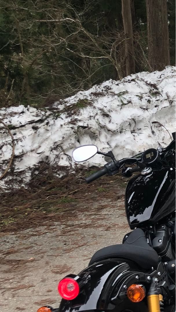 キジマ バイク用 テールユニット LEDテールBOLT 217-7019