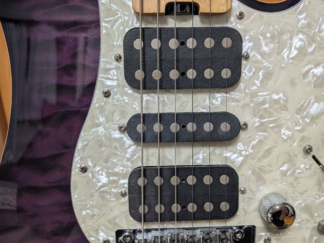 【日本製】SCHECTER SD-DX-24-AS