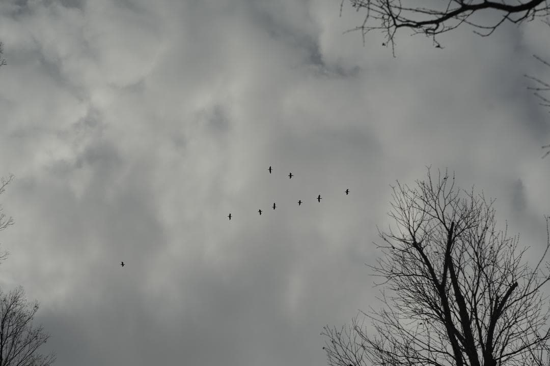 Helios44-2 58mm f2 M42 Zeissの銘玉Biotarコピー