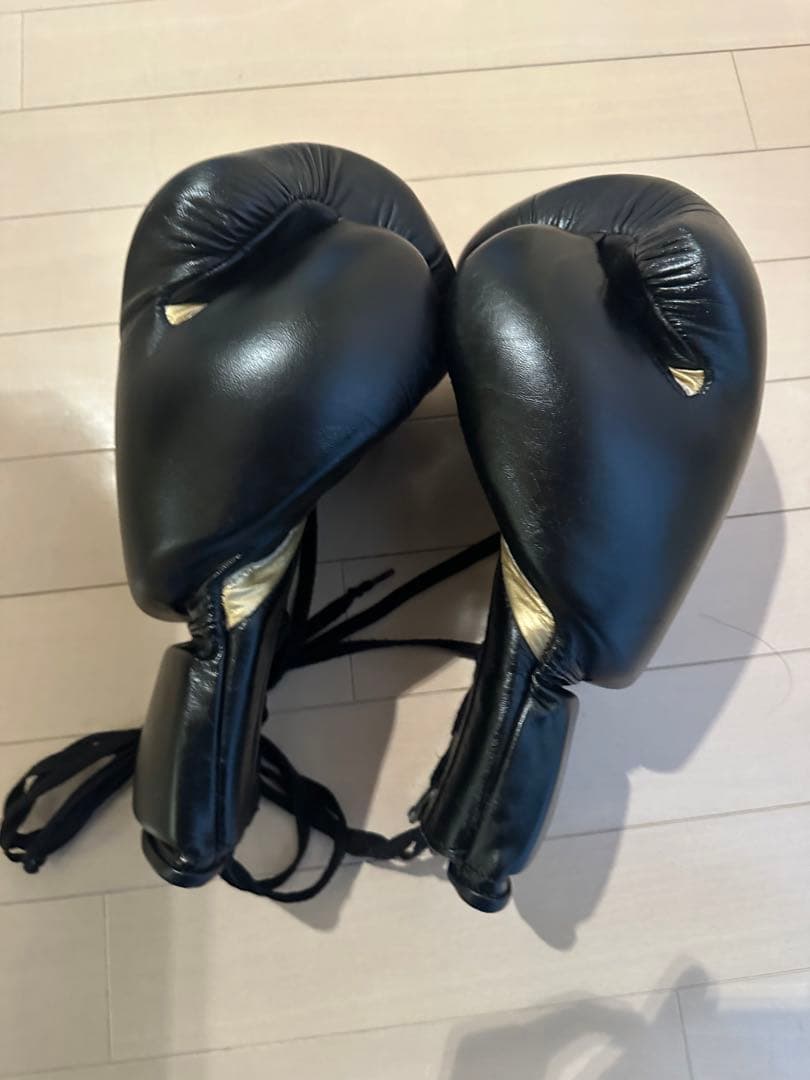 エバーラスト　ボクシンググローブ