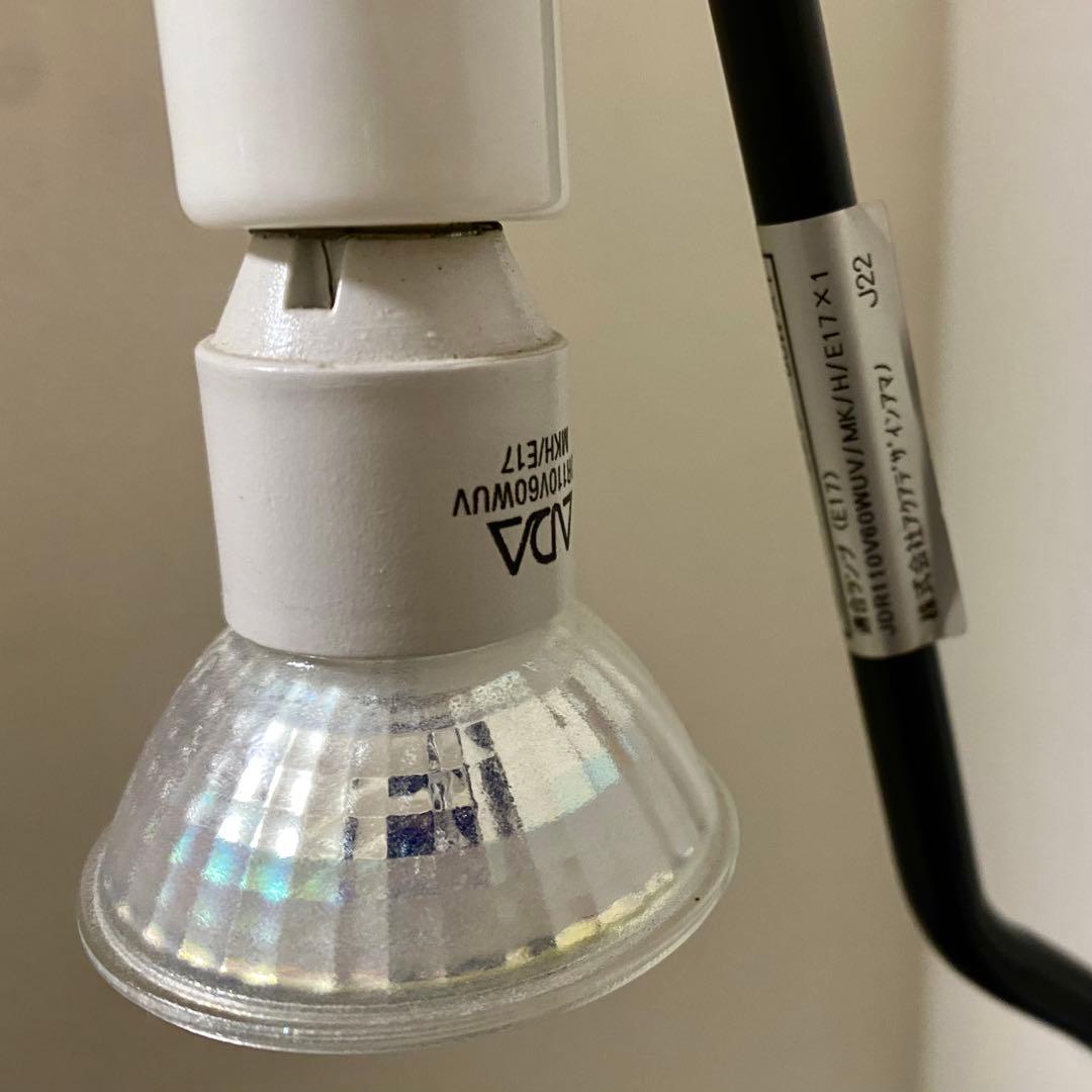 【廃盤】ADA Do!aqua ブランチ・ブラック　アクアデザインアマノ　天野尚