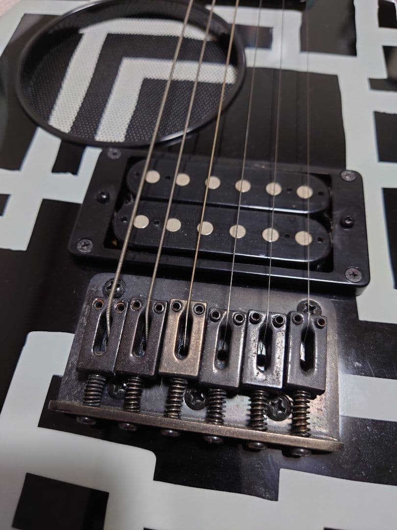 布袋寅泰 FERNANDES ZO-3 HOTEI MODEL