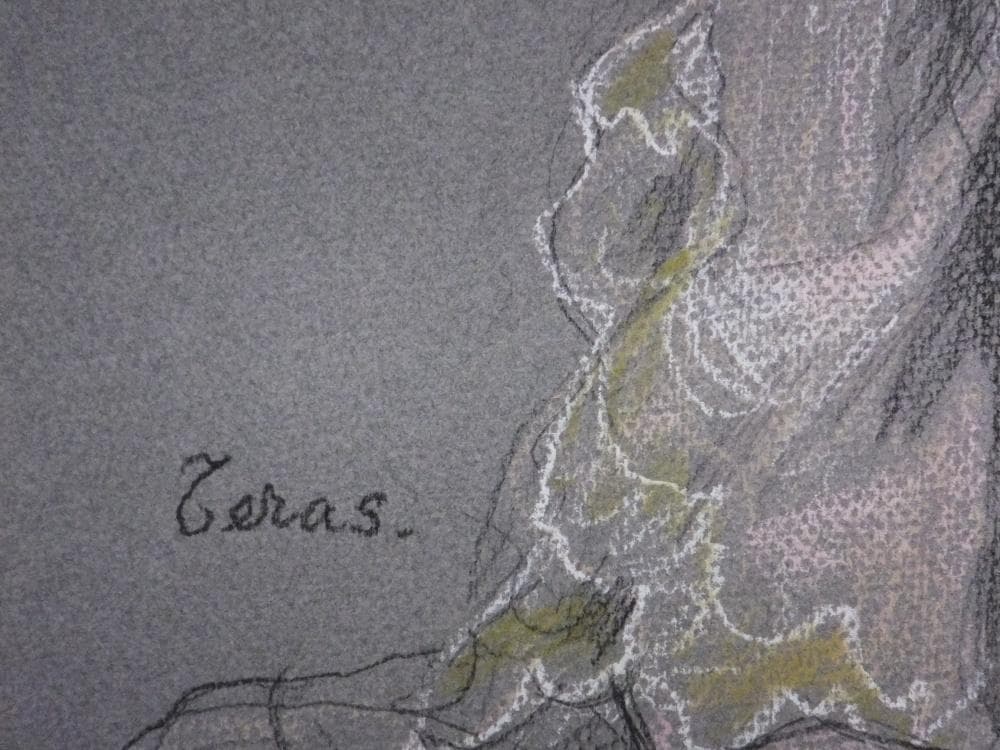 寺島龍一　直筆サイン『女性』ペーパーにパステル画 10号 0313B