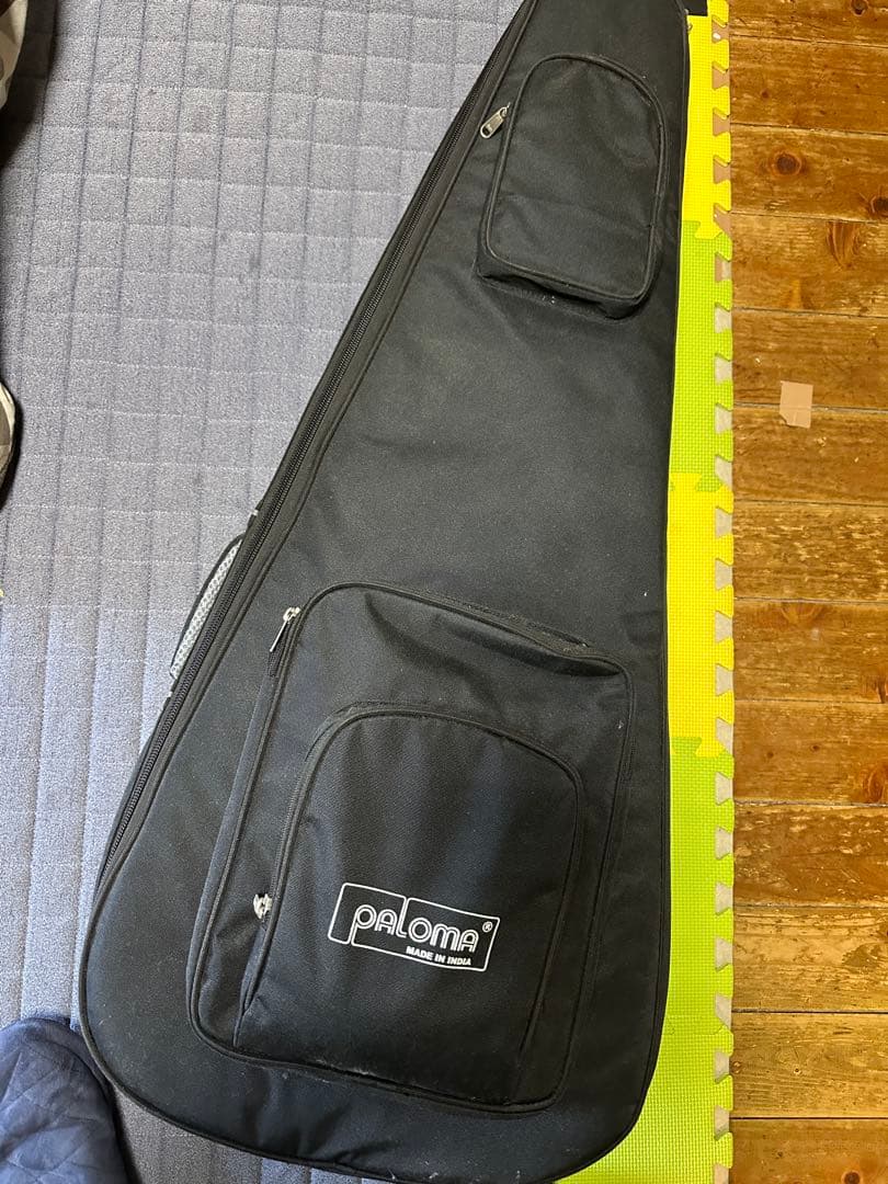 インド楽器 モハーンヴィーナ　Mohan Veena アコースティックギター