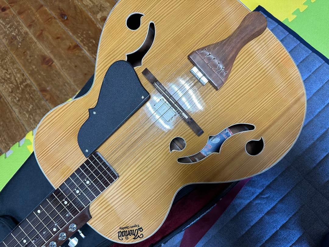 インド楽器 モハーンヴィーナ　Mohan Veena アコースティックギター