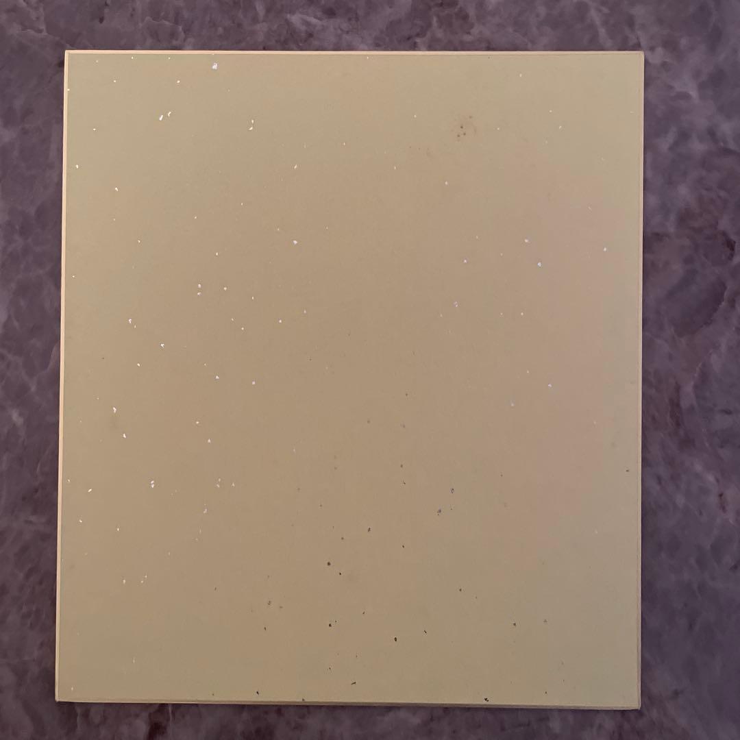 【超希少】呪術廻戦 色紙 虎杖悠仁 宿儺 サイン入り イラスト