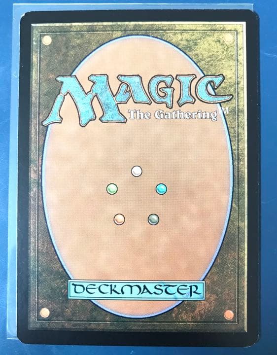 マジック：ザ・ギャザリング Plains mtg unhinged foil