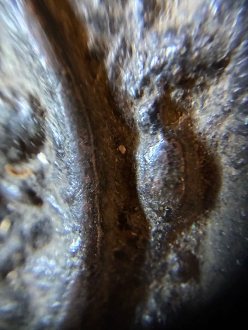 海獣葡萄鏡　古鏡　唐