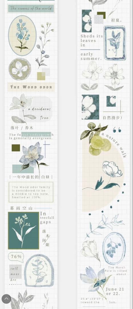 《在庫処分最終値下げ》海外 マスキングテープ雀斑茶 6点⚠️pet（33.324