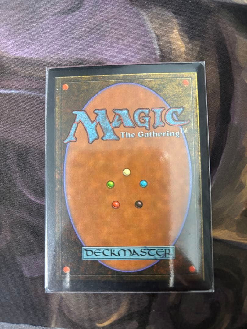 Shallow Grave 浅すぎる墓穴