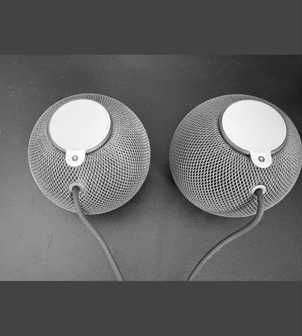 【美品】Apple Pod mini スペースグレイ （ペア）