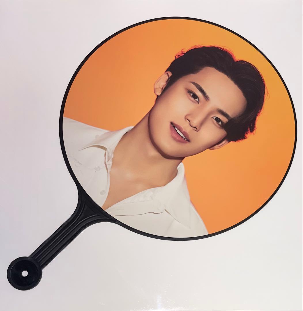 SEVENTEEN BE THE SUN うちわ　ミンギュ